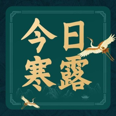 寒露节气祝福问候手绘白鹭次图