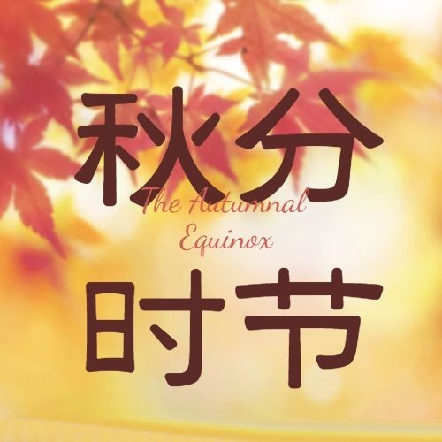 通用秋分节气实景排版公众号次图预览效果