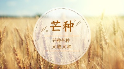 芒种氛围问候实景清新广告banner