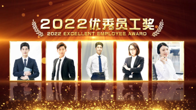 企业商务2022年会颁奖年终总结开场红金喜庆AE模板