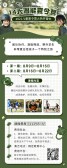 模板缩略图