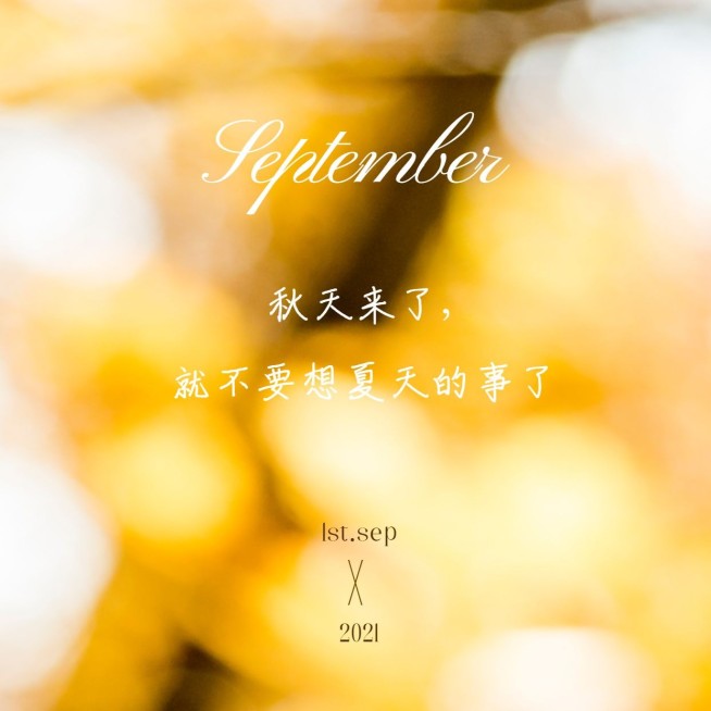 通用秋季祝福文艺方形海报预览效果