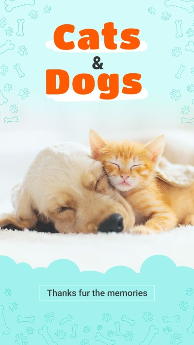 Simple Cute Text Pet Dog And Cat Photos Instagram Story