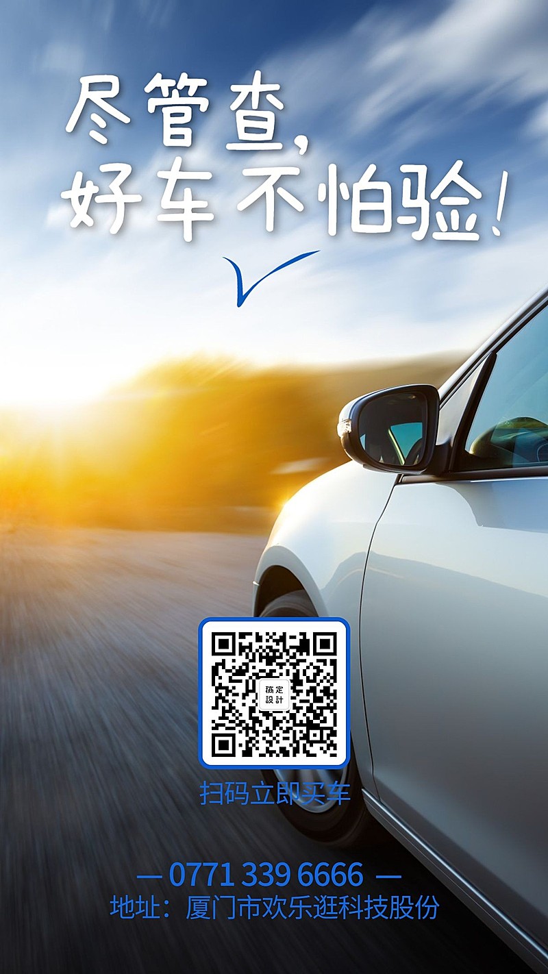 好车不怕验手机海报