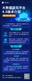 模板缩略图