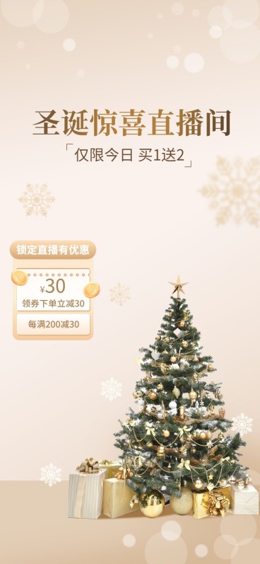 电商圣诞节直播福利专场直播背景图预览效果