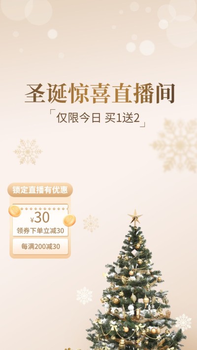 电商圣诞节直播福利专场直播背景图