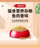 模板缩略图