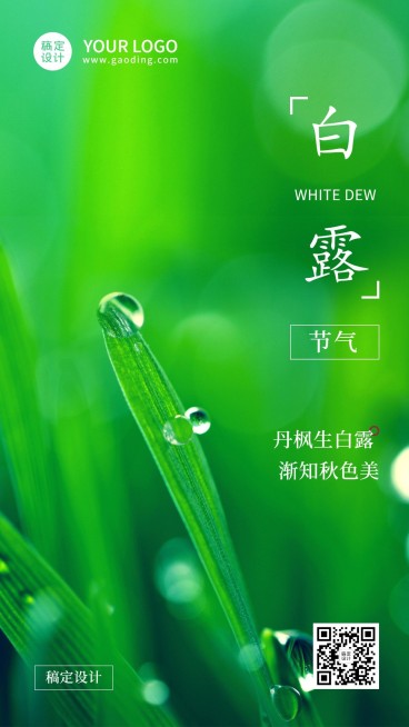 白露节气祝福实景露珠手机海报预览效果