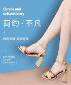 模板缩略图