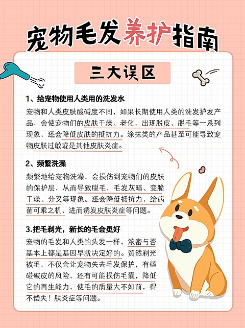 宠物养护指南攻略小红书配图