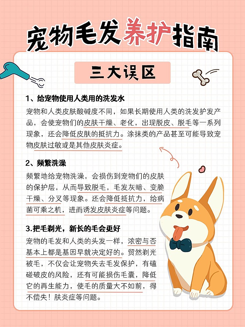宠物养护指南攻略小红书配图