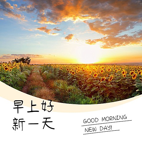 早上好正能量早安问候