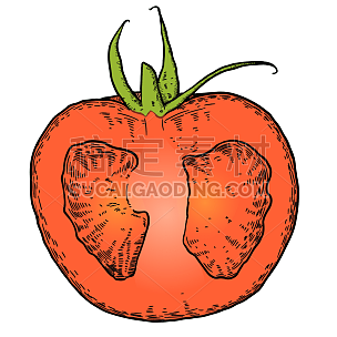 手绘-美食元素水果蔬菜贴纸-西红柿