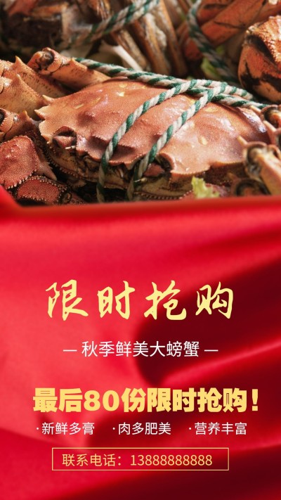 限时抢购手机海报