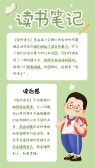 模板缩略图