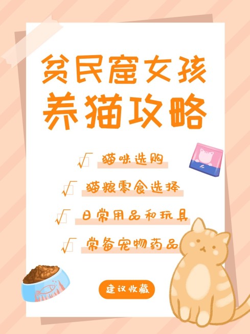 可爱风宠物猫萌宠小红书封面配图预览效果