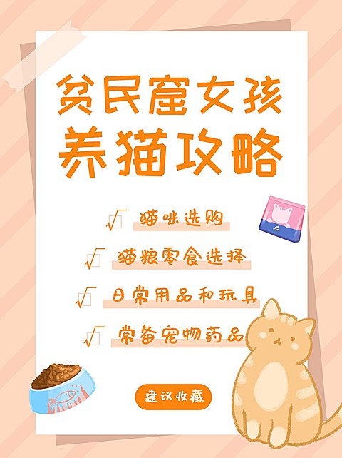 可爱风宠物猫萌宠小红书封面配图