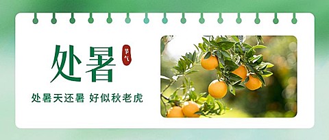 处暑节气祝福问候实景公众号首图