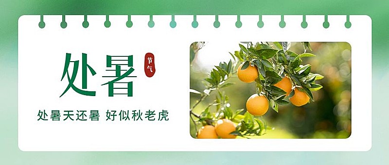 处暑节气祝福问候实景公众号首图