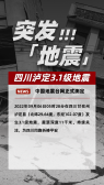 模板缩略图