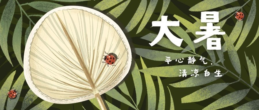 大暑节气植物蒲扇夏日公众号首图预览效果