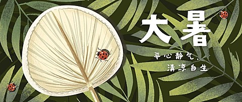 大暑节气植物蒲扇夏日公众号首图