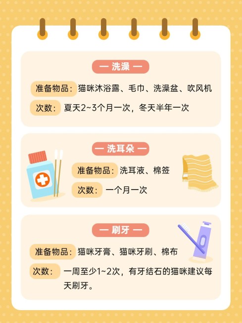 宠物知识科普小红书配图预览效果