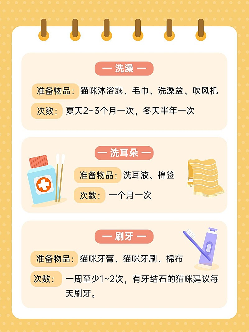 宠物知识科普小红书配图