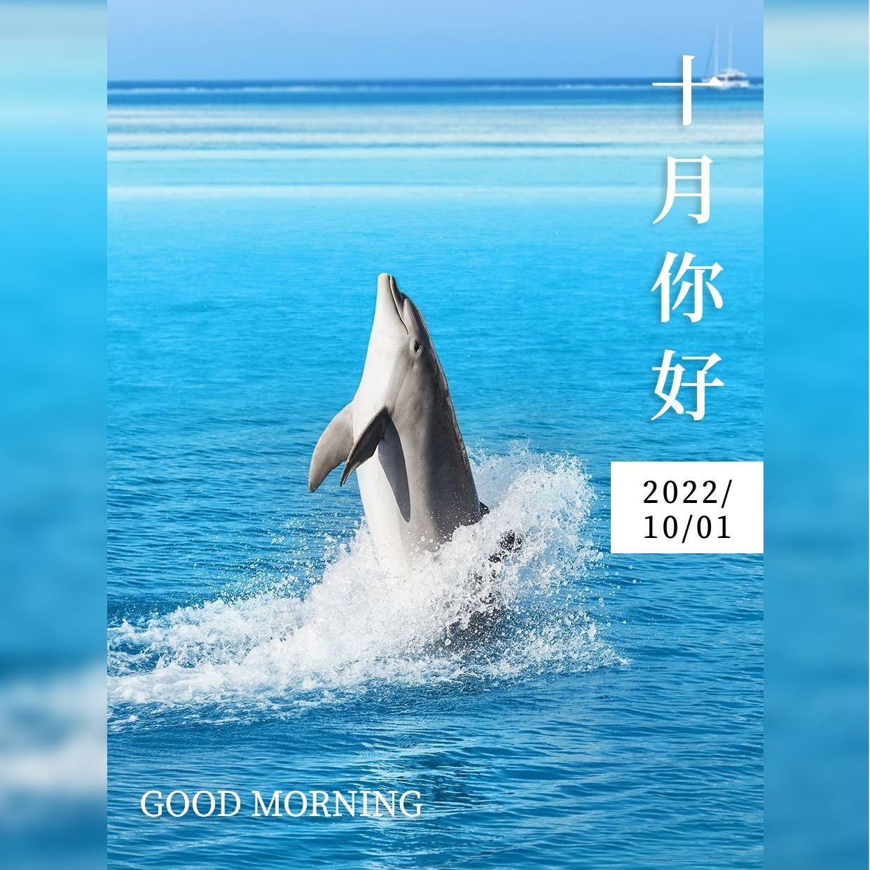 点击进入编辑 通用十月你好问候实景方形海报预览效果