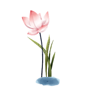 中国风-手绘植物花卉-荷花
