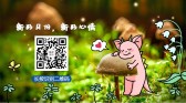模板缩略图