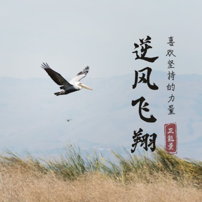 逆风飞翔正能量励志方形海报