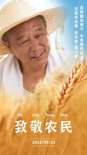 通用中国农民丰收节宣传实景排版手机海报预览效果