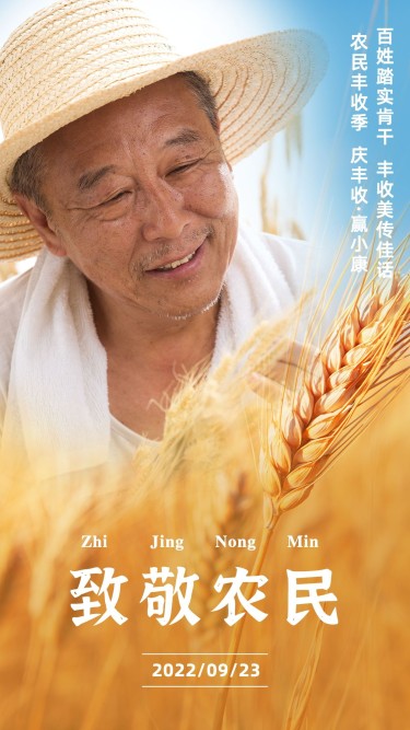 通用中国农民丰收节宣传实景排版手机海报