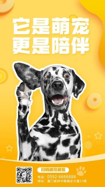 宠物服务品牌宣传实景竖版海报预览效果