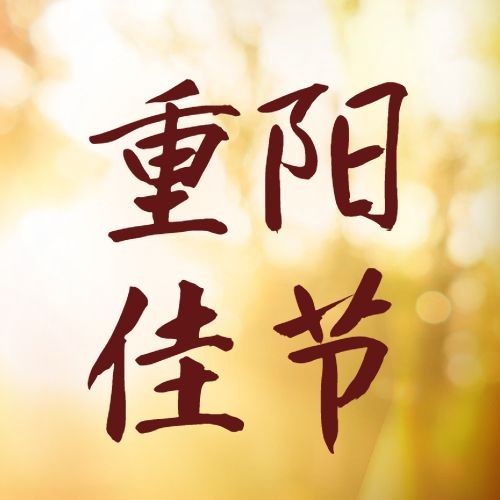 九九重阳节节日祝福文艺公众号次图预览效果