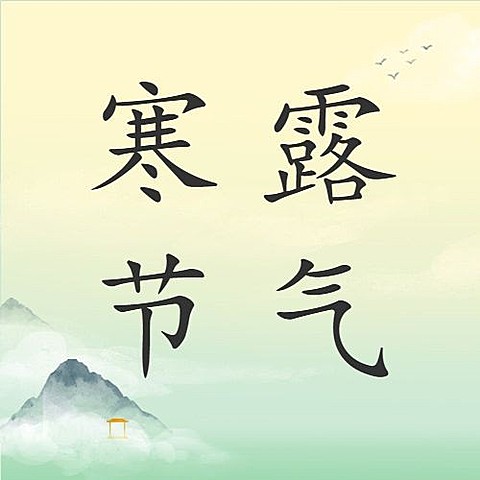 寒露节气祝福问候菊花手绘次图