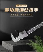 模板缩略图