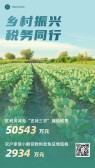 模板缩略图