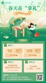 模板缩略图