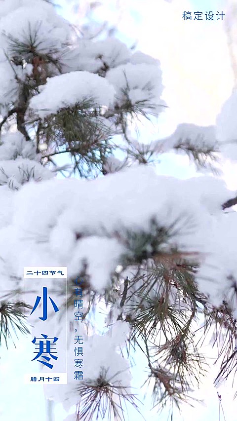 小寒节气祝福实景唯美竖版视频