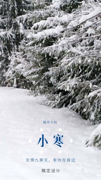 小寒节气祝福实景唯美竖版视频