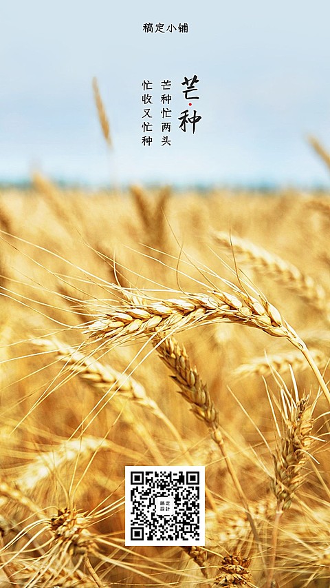 芒种清新实景提示问候手机海报