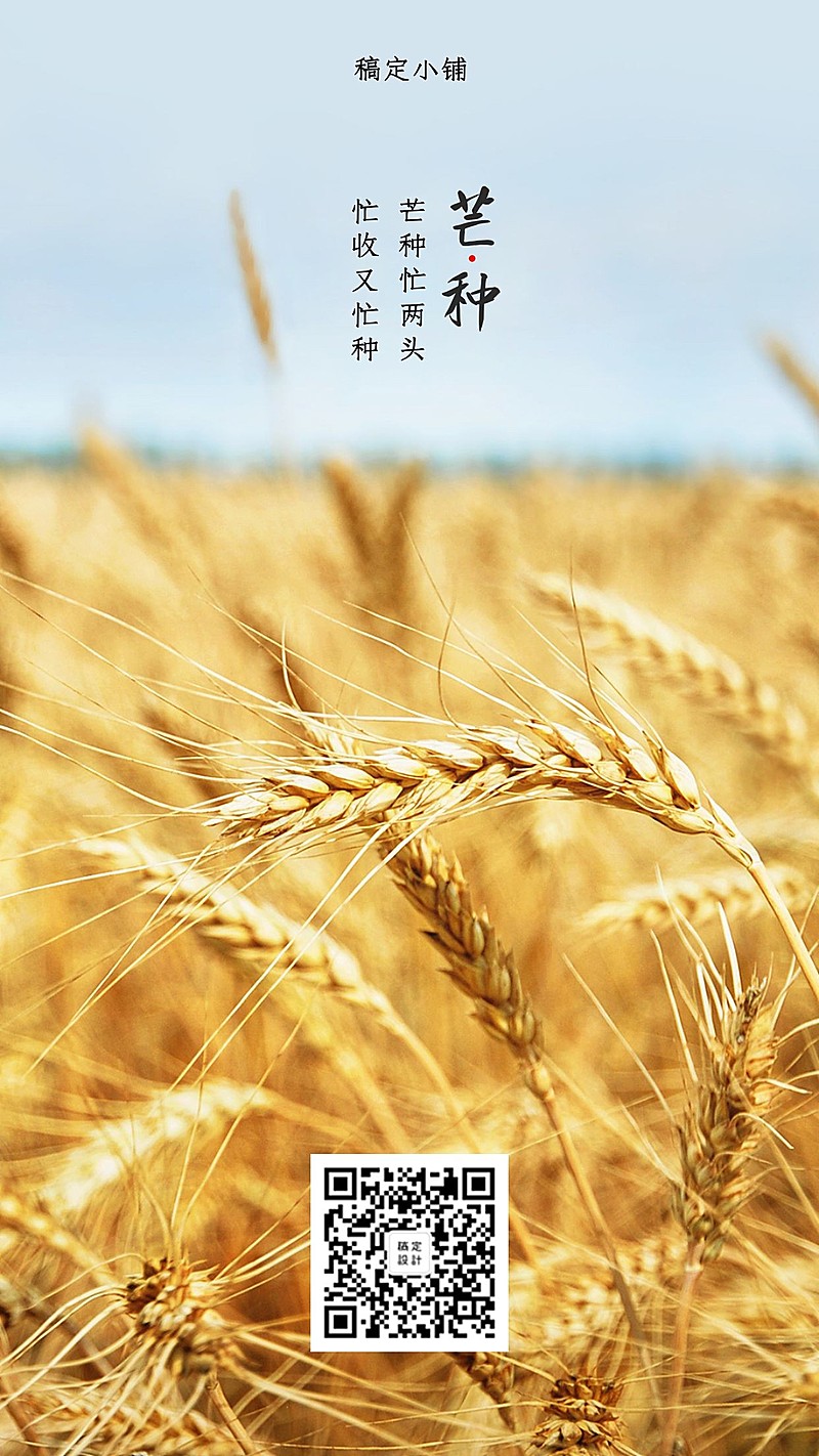 芒种清新实景提示问候手机海报