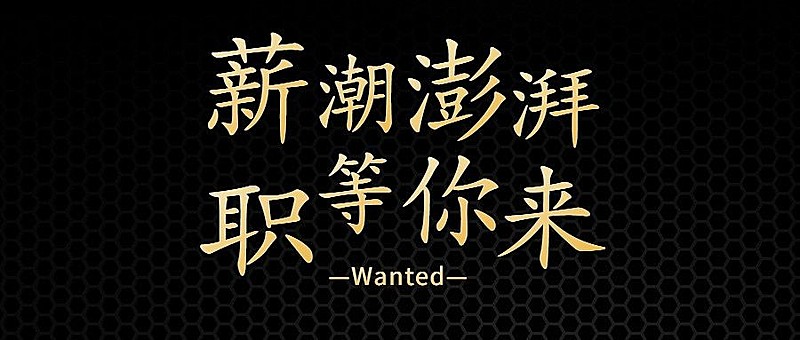 金融保险求职招聘简约公众号首图