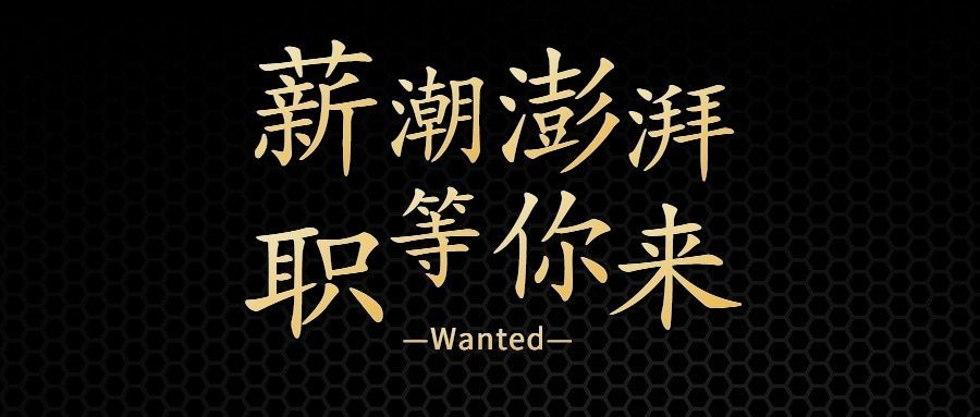 金融保险求职招聘简约公众号首图