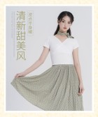 模板缩略图