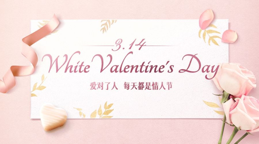 通用白色情人节祝福文艺广告banner
