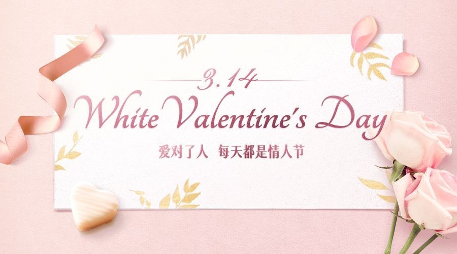 通用白色情人节祝福文艺广告banner预览效果